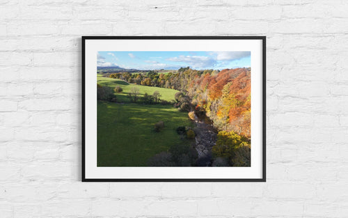 Harmony of Seasons landscape photography wall decor