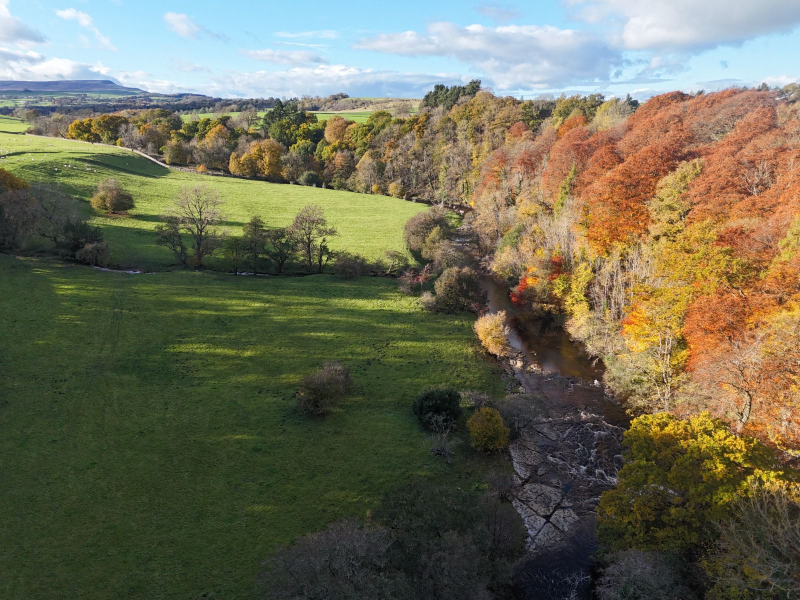 Harmony of Seasons landscape photography wall decor